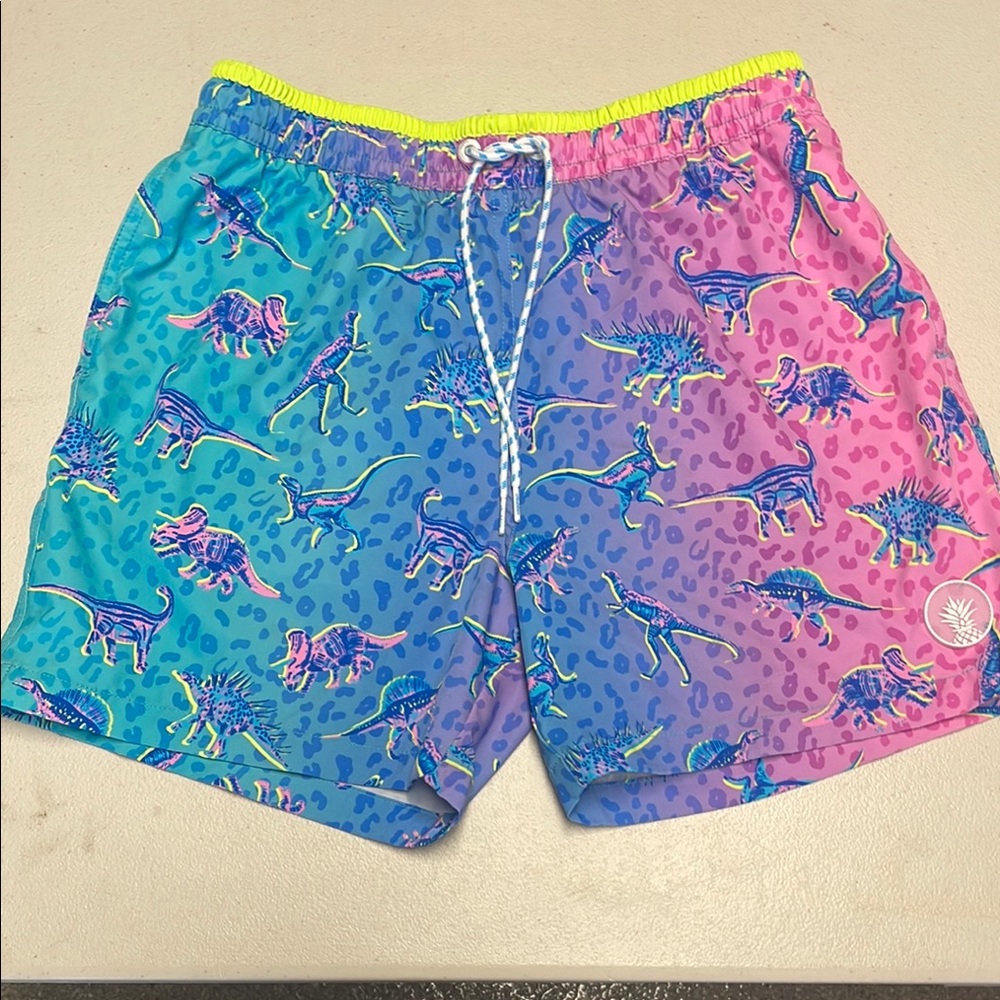 Chubbies Multicolor Dinosaur Swim Board Shorts